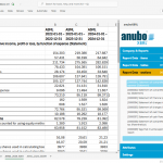 anuboXBRL Reader Screenshot no02 for msmarketplace 20250410