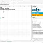 anuboXBRL Reader Screenshot no03 for msmarketplace 20250410